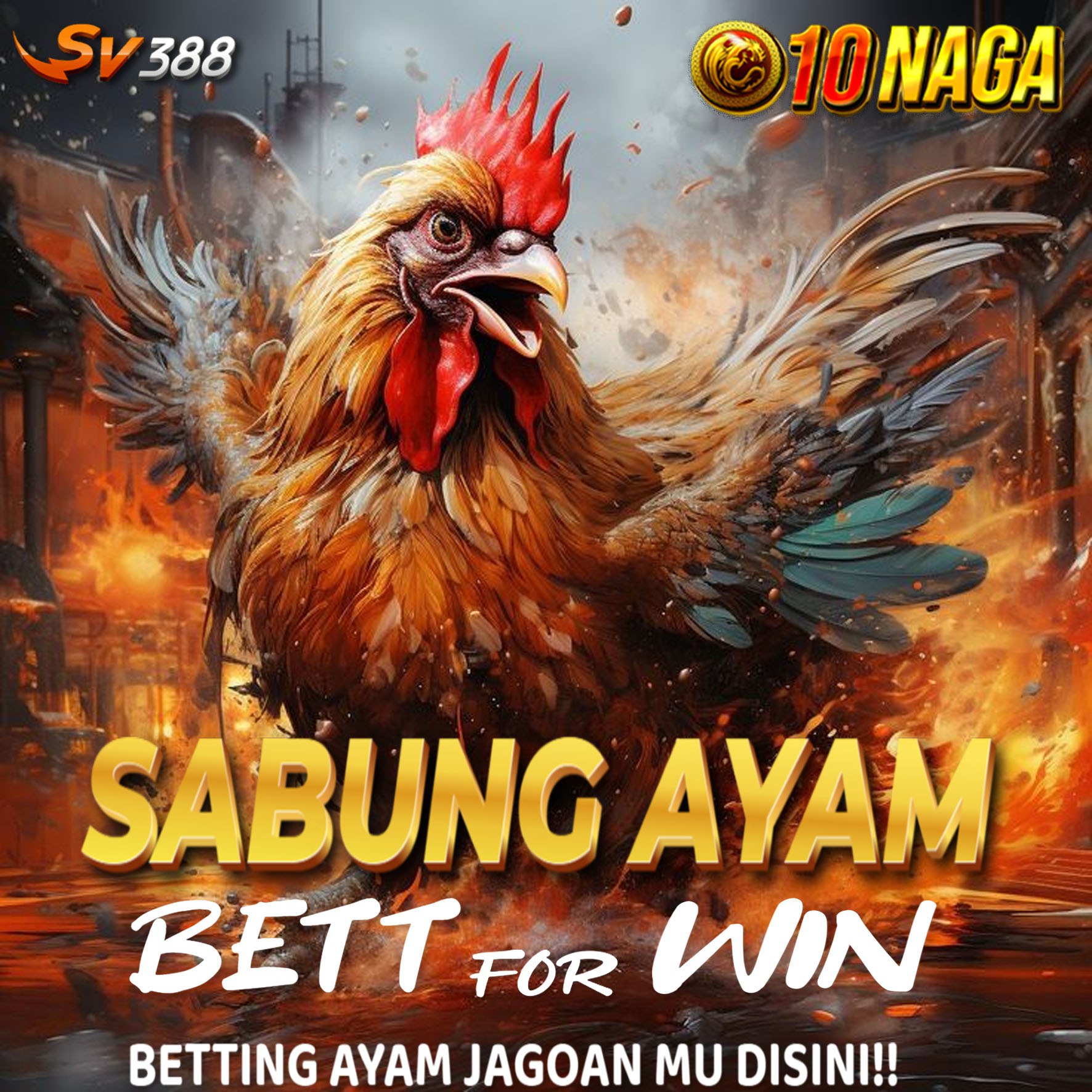 10NAGA ⚡ Agen Sabung Ayam SV388 Online Meron Wala Nonstop 24 Jam Tersedia Deposit Melalui QRIS.